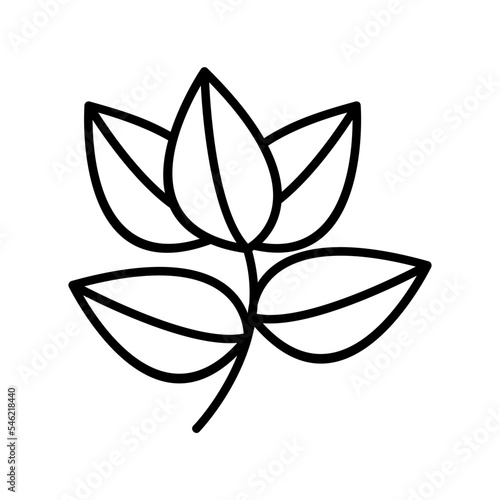 Leaves Icon