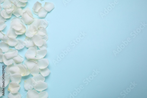 Beautiful white rose flower petals on light blue background, flat lay. Space for text