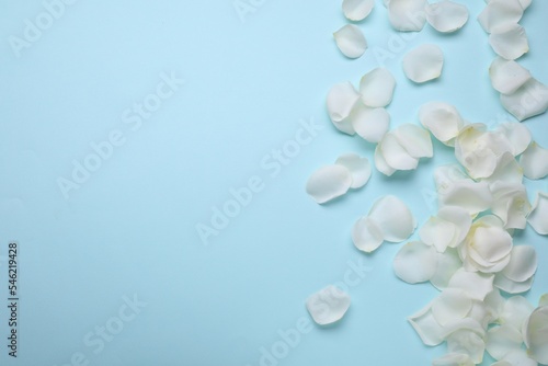 Beautiful white rose flower petals on light blue background, flat lay. Space for text