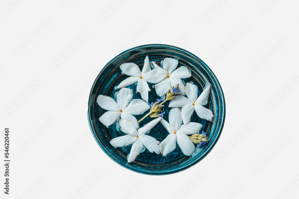 White Yasmin flowers in a bowl of water with white background. White Yasmin flowers in a bowl of water with white background.