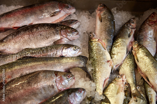 Fish arrange in ice on the market, selective focus