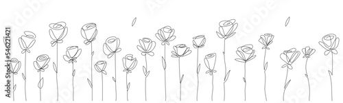 Vector floral background. Single-line flowers lined up in a row, of different heights. Blossoming buds
