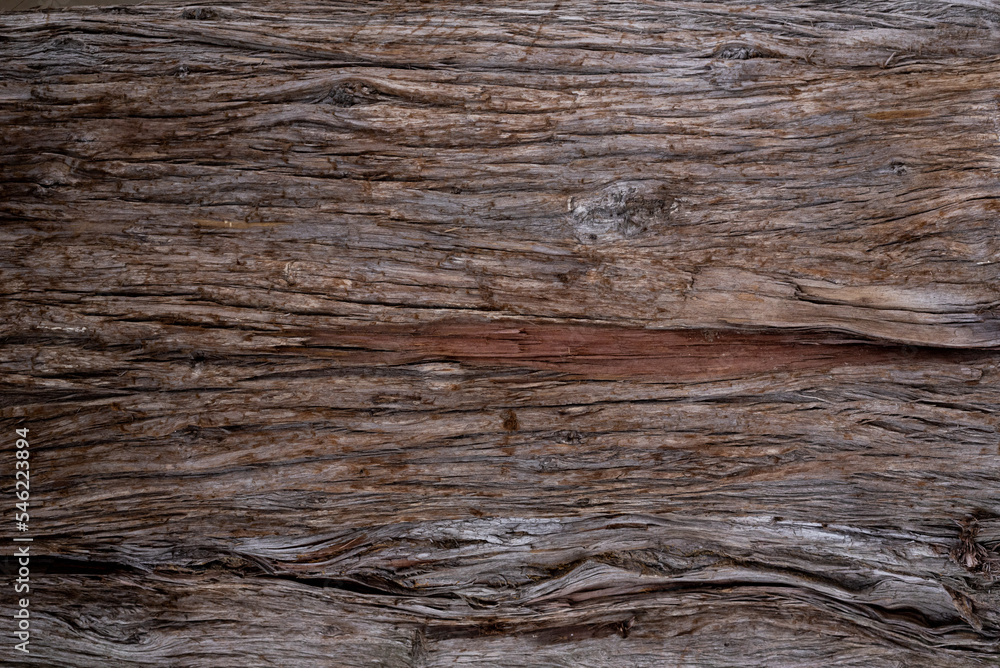 Tree bark brown texture close up, natural background Tree bark brown texture close up, natural background
