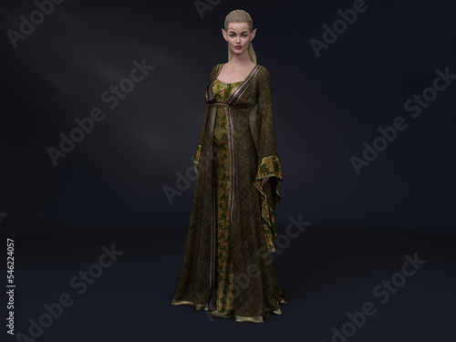 3D Render : portrait of the fantasy female high elf character standing in the studio 