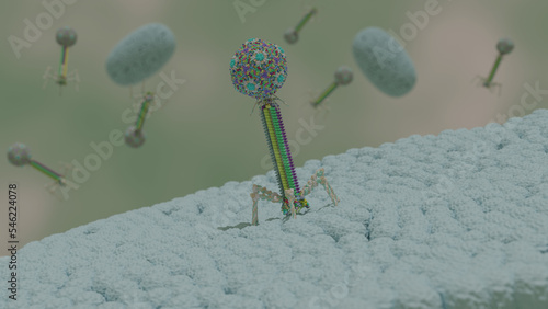 T4 Bacteriophage photo