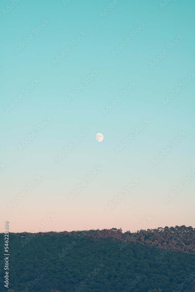 Vertical image of moon rising over a cliff, pastel colors.