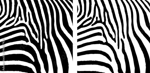 Animal print. Zebra ornament. 