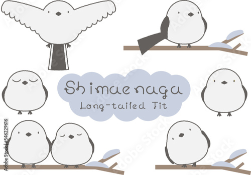 シマエナガのイラストセット