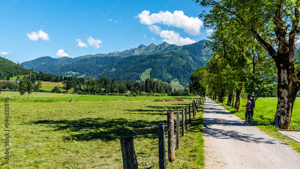 Country road and tree alley in broad mountain valley. Zell am See on sunny summer day. Austrian Alps, Austria