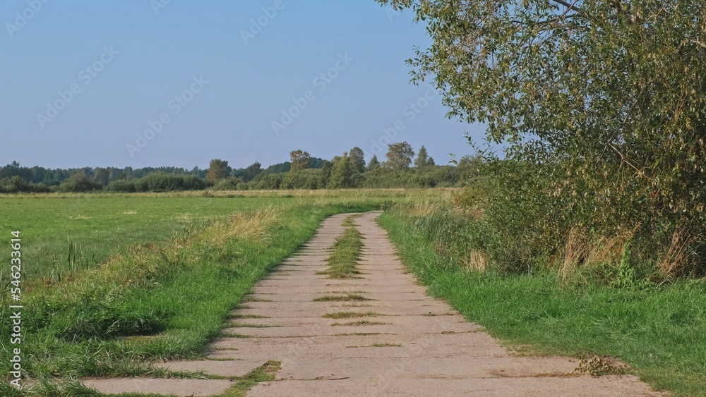 Country Road Through Green Fields Paved With Concrete Slabs