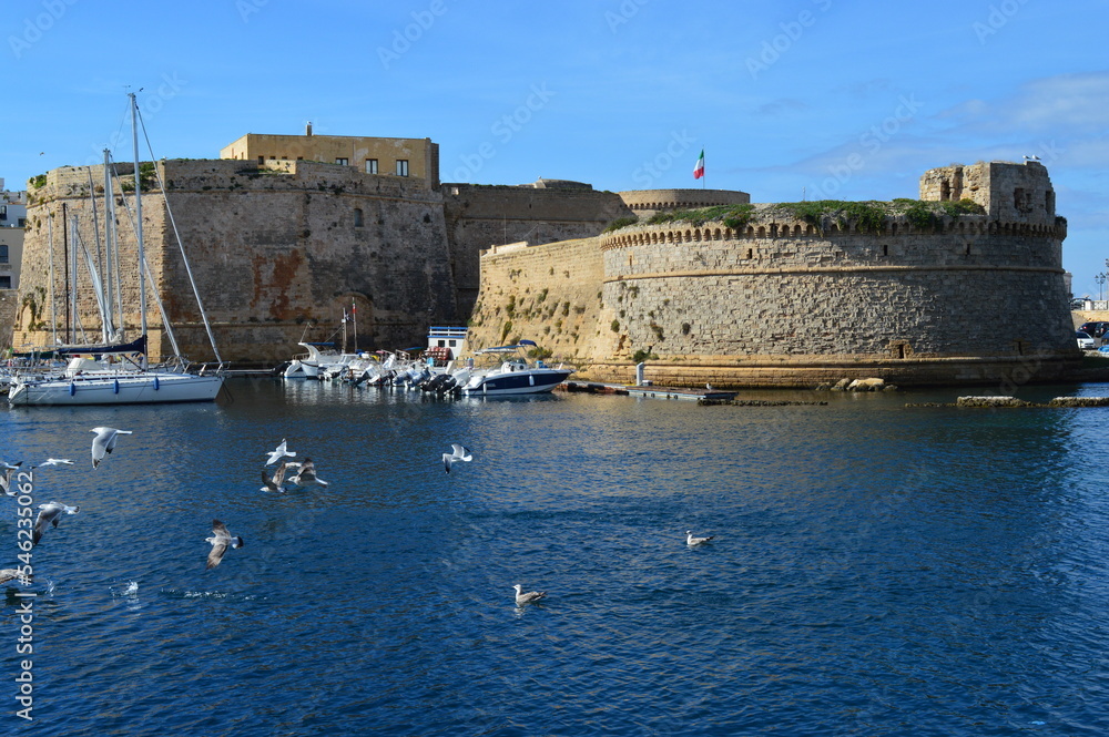the beauty of the seagulls at the port of Gallipoli in Puglia and background of the city