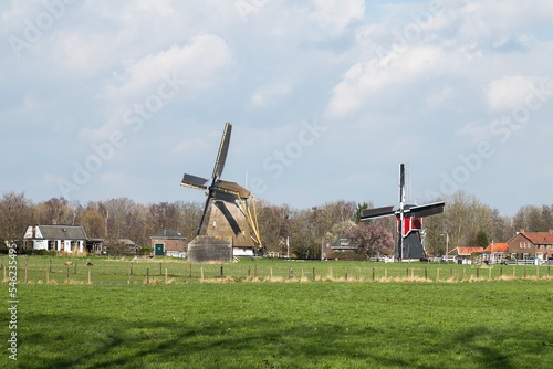 Windmills of the polder westbroek in Oud-Zuilen in the Netherlands.