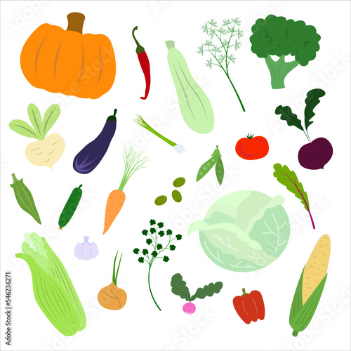 Set of fresh vegetables in flat style