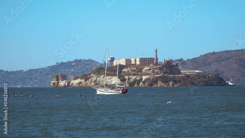 San Francisco, CA, USA - September 3, 2022: A sailboat with Alcatraz Island in the background and birds flying seen from Pier 39.