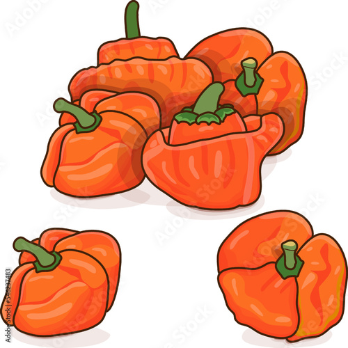 Group of orange scotch bonnet peppers. Capsicum chinense. Hot chili pepper. Fresh organic vegetables. Cartoon style. Vector illustration isolated on white background.