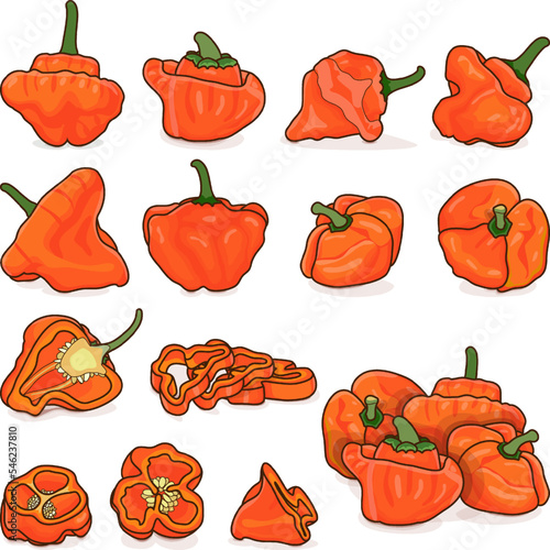 Set with whole, half, quarter, slices, and wedges of orange scotch bonnet peppers. Capsicum chinense. Hot chili pepper. Vegetables. Cartoon style. Vector illustration isolated on white background.