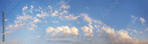 Panoramic fluffy cloud in the blue sky © artmim