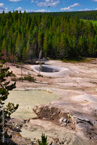 Landscapes in the summer of Yellowstone National Park