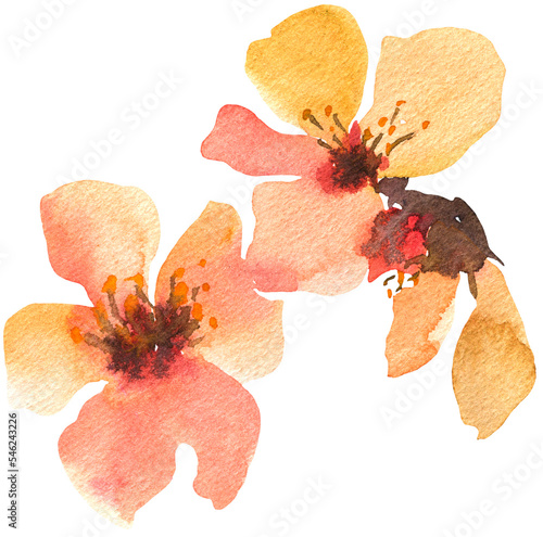 Watercolor sakura flowers transparent PNG