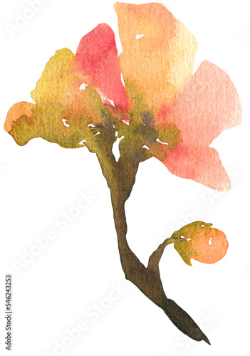 Watercolor Abstract Flowers Transparent PNG