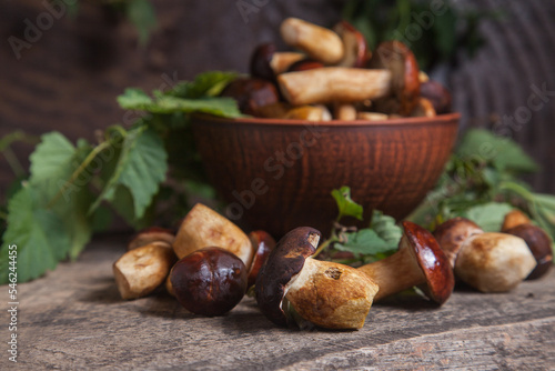 Pile of Imleria Badia or Boletus badius mushrooms commonly known as the bay bolete on vintage wooden background..