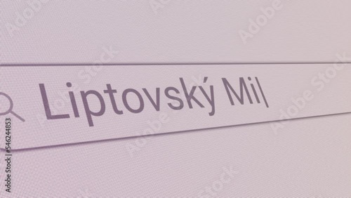 Search Bar Liptovsky Mikulas 
Close Up Single Line Typing Text Box Layout Web Database Browser Engine Concept photo