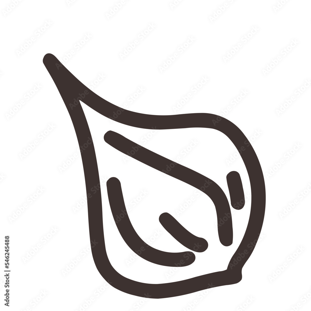 Fototapeta premium Outline Figs 