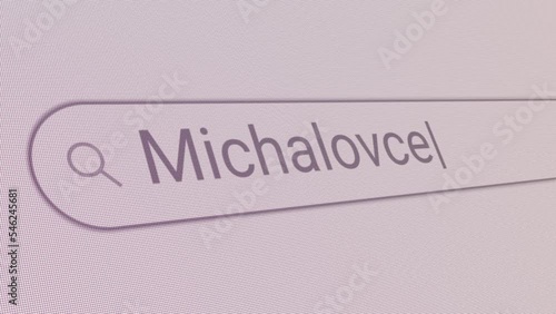 Search Bar Michalovce 
Close Up Single Line Typing Text Box Layout Web Database Browser Engine Concept photo