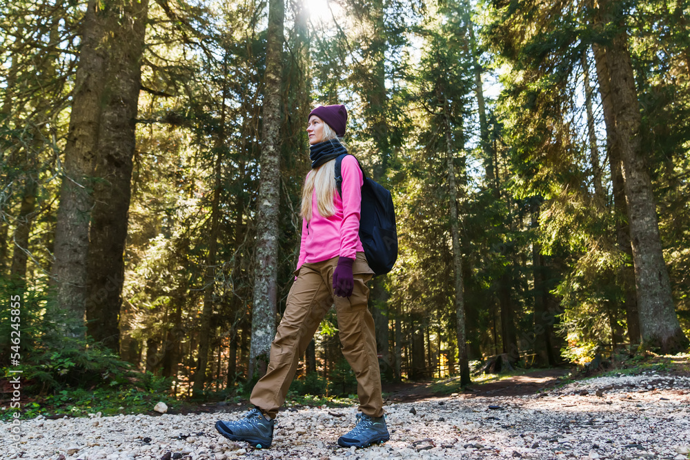 Fototapeta premium A young woman walks through the forest with a backpack. Active lifestyle