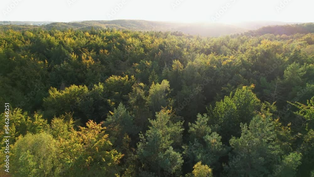 Tree Canopies In The Forest Mountains Near Witomino, Gydnia Poland. Aerial Pullback Shot Tree Canopies In The Forest Mountains Near Witomino, Gydnia Poland. Aerial Pullback Shot
