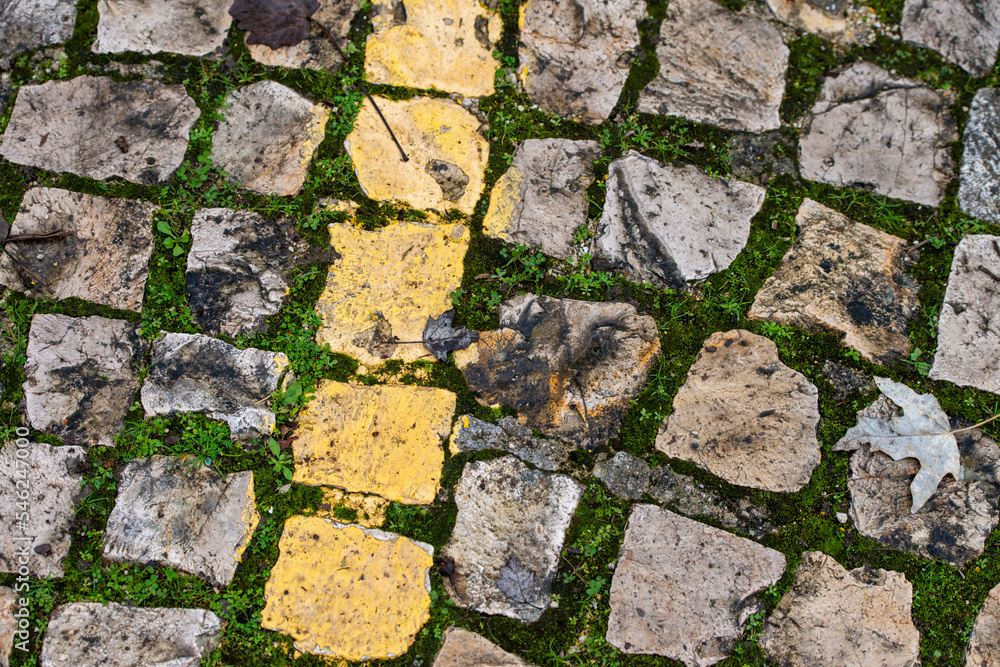Obraz premium Portuguese sidewalk with yellow paint and green lichen between the stones.