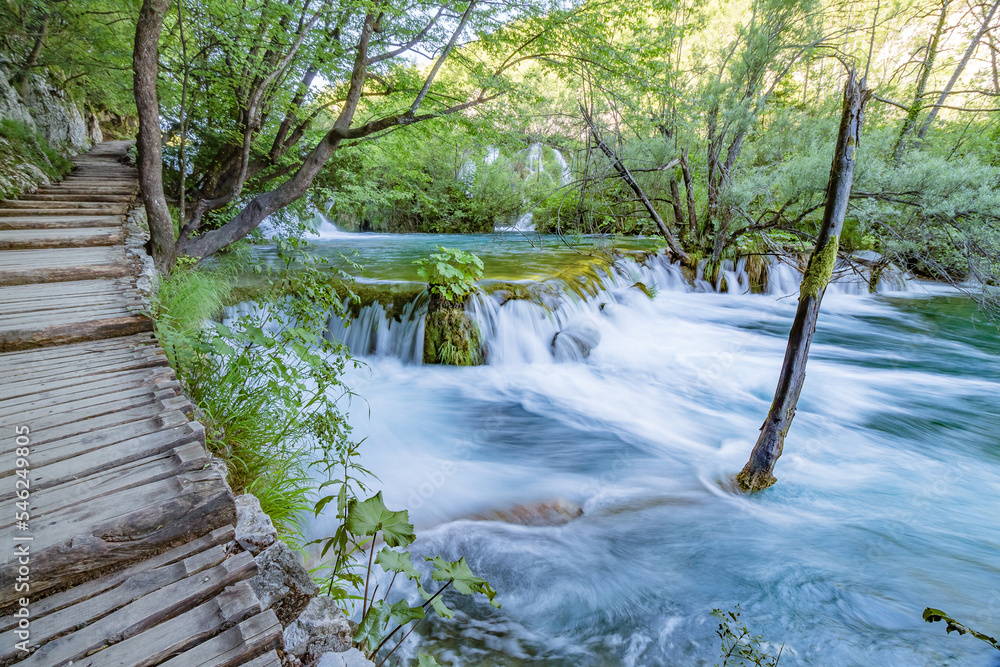 Obraz premium Wooden bridge footpath over a small lake with bulrush in The Plitvice Lakes National Park in Croatia Europe.