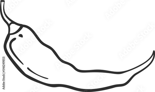 Sketch chili pepper vegetable icon vector illustration. Black line contour sketch vegetable icon on white background for restaurant menu vintage design
