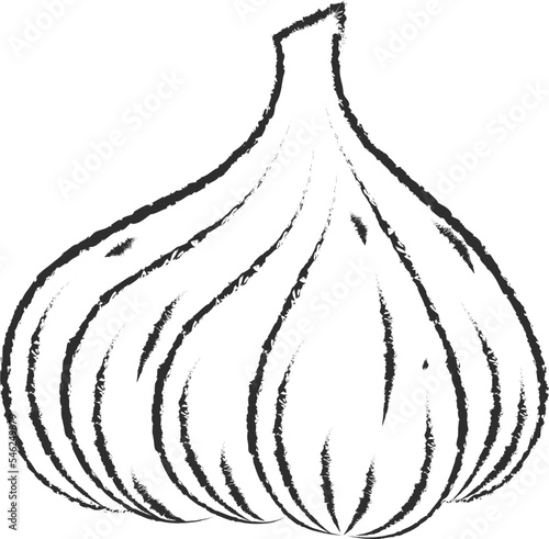 Chalked sketch garlic vegetable icon vector illustration. White chalk style line hand drawn vegetable sketch icon for restaurant menu promo design