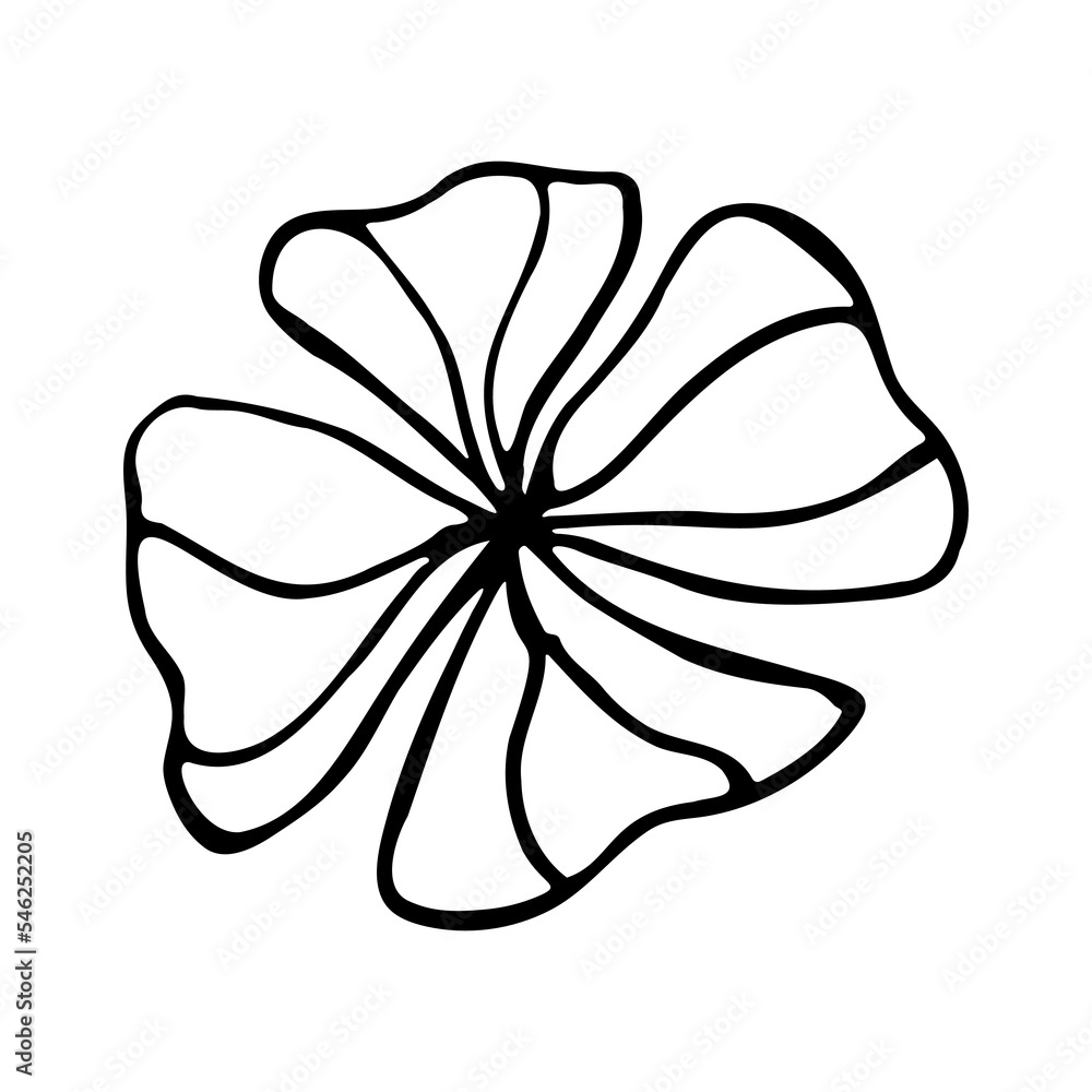 Hand drawn sketch flower isolated on white background Hand drawn sketch flower isolated on white background