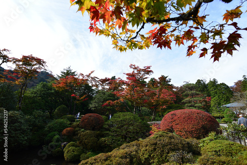 紅葉し始めの日本庭園 日光山輪王寺 photo