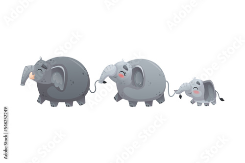 Elephant Family with Parent and Sweet Baby Walking Holding Tails Vector Illustration