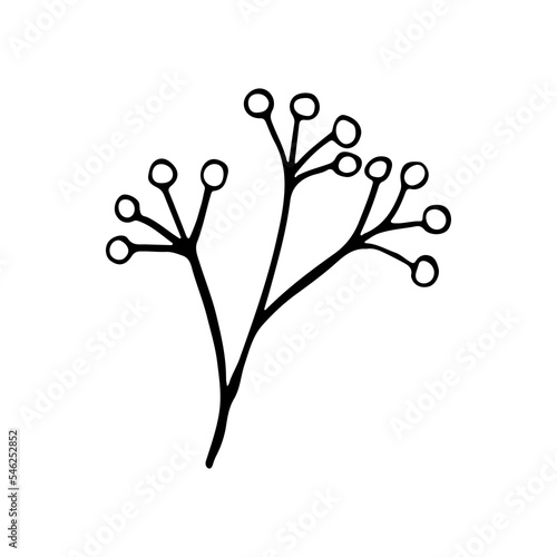 Hand drawn sketch leaf isolated on white background