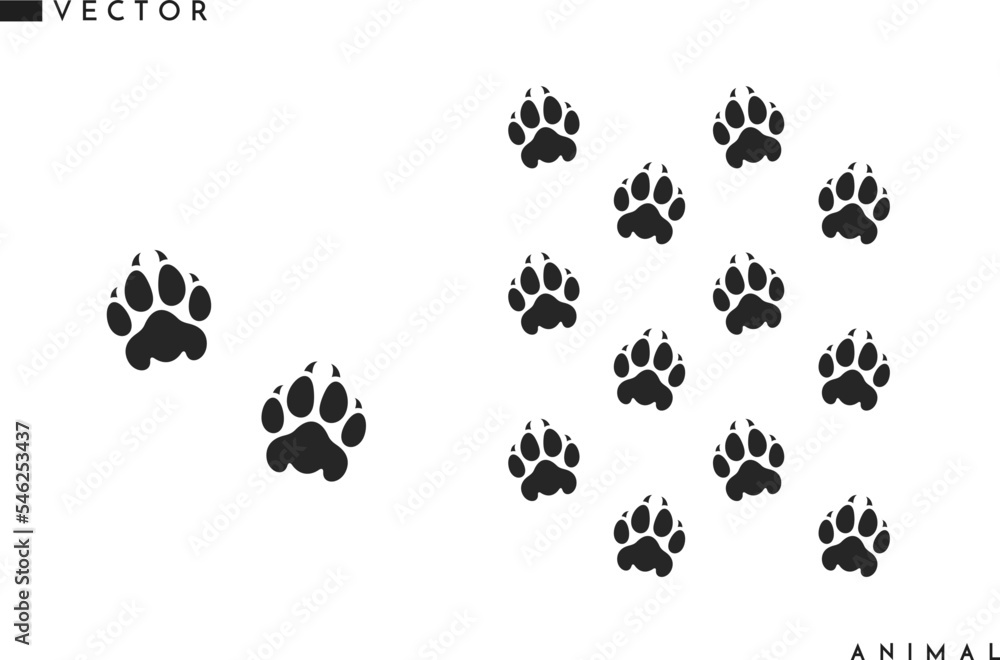 Fototapeta premium Panther paw print set. Isolated paw prints on white background