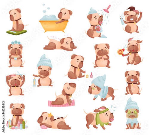 Cartoon Pug Dog Character Grooming Doing Spa Procedures Big Vector Set