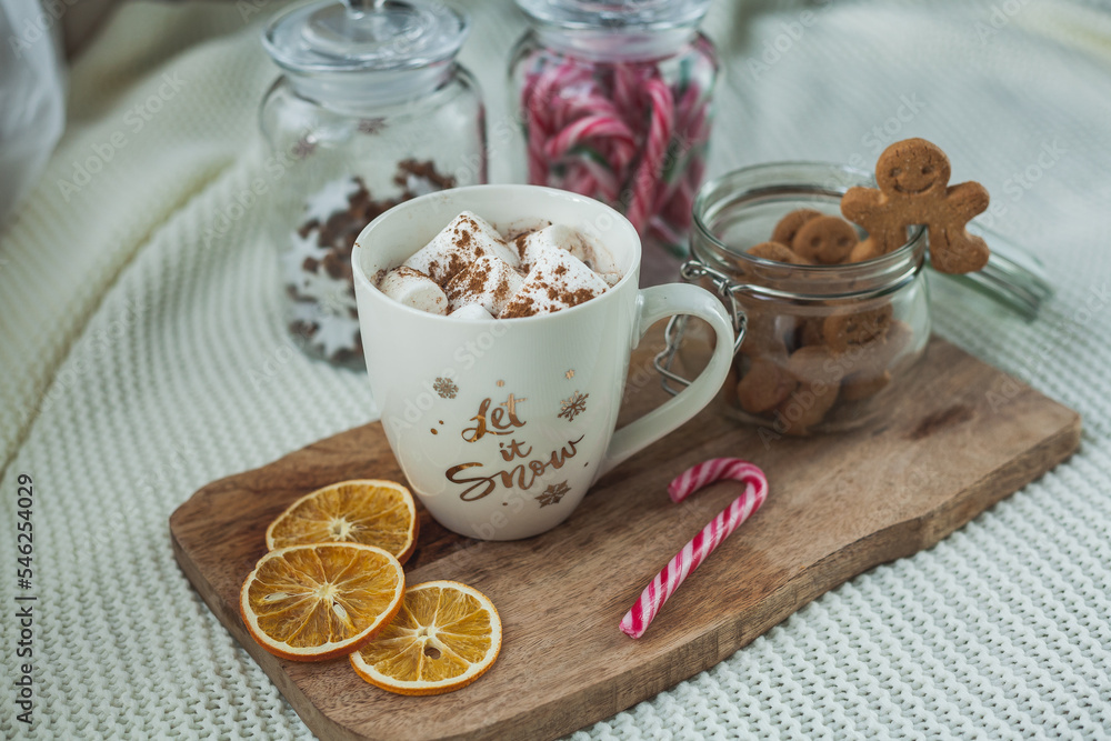 Hot cup of cocoa with marshmallows and gingerbread cookies. Christmas eco decorations. New Year. Winter holidays, gifts. Hot cup of cocoa with marshmallows and gingerbread cookies. Christmas eco decorations. New Year. Winter holidays, gifts.