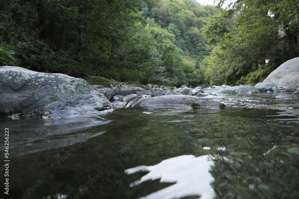 Beautiful view of small river and stones outdoors Beautiful view of small river and stones outdoors