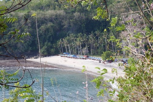 beach and trees