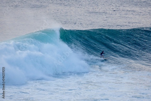 surfing the big waves