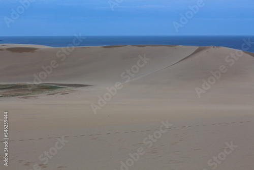                          Tottori sand dunes at dawn Japan