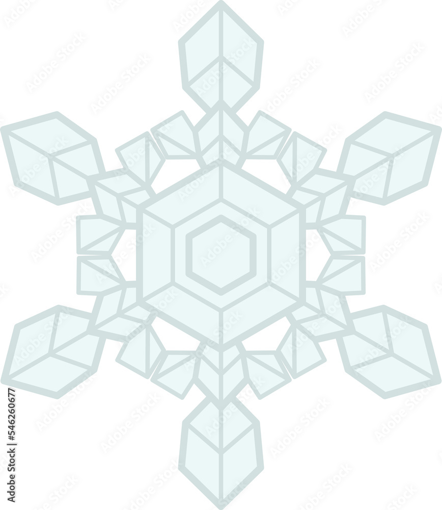 雪の結晶01 雪の結晶01