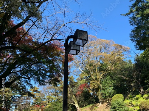 street lamp in the park