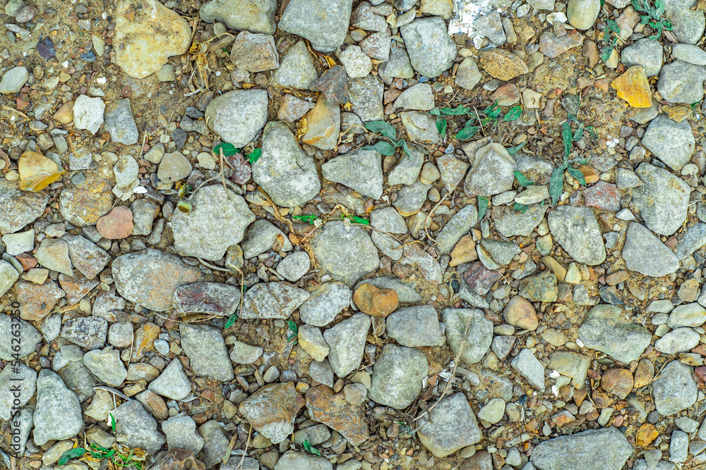 Background with stones scattered on the ground and small natural debris. Natural countryside background. Background with stones scattered on the ground and small natural debris. Natural countryside background.