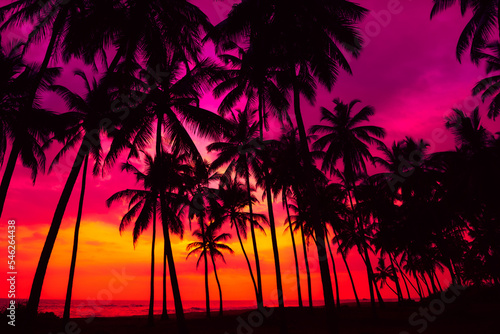 Coconut palm trees silhouettes on tropical ocean beach at vivid colorful sunset