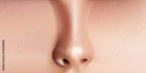 Human nose realistic front view Vector Illustration.